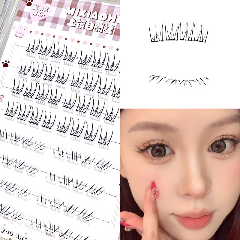 Individual Lash Tray - Mixiaohe Cils supérieurs transparents et légers,