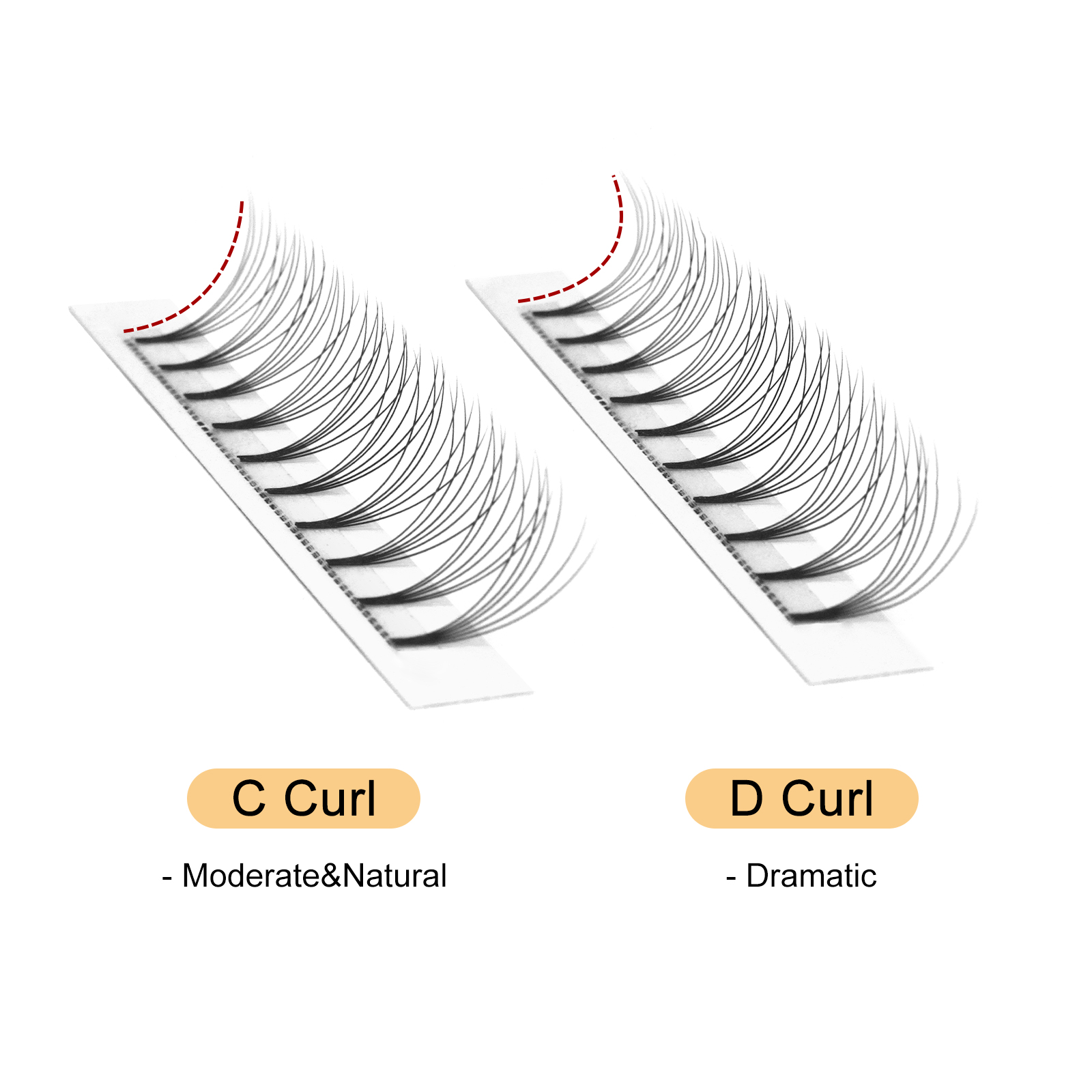 Quewel-Extensions de Cils Préf - Individual Lash Tray avis et prix